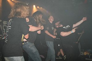 NDF_0311