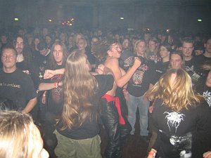 AMM_0036