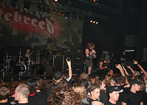 Hatebreed_0038