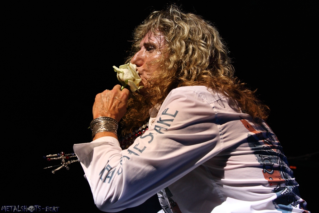 Whitesnake_0070.jpg